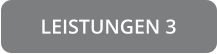 LEISTUNGEN 3