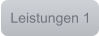 Leistungen 1